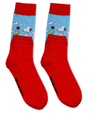Snoopy & Woodstock Socks