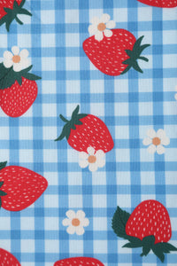 Lily Summer Strawberry Blue Gingham Dress