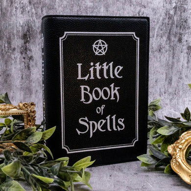 Little Book of Spells Bag