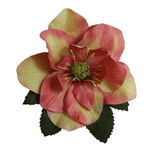 BRIGITTE Single Pink Hellebore