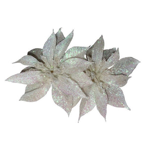 White Glitter Double Poinsettia