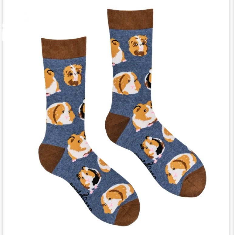 Guinea Pig Socks - I Am Not A Hamster