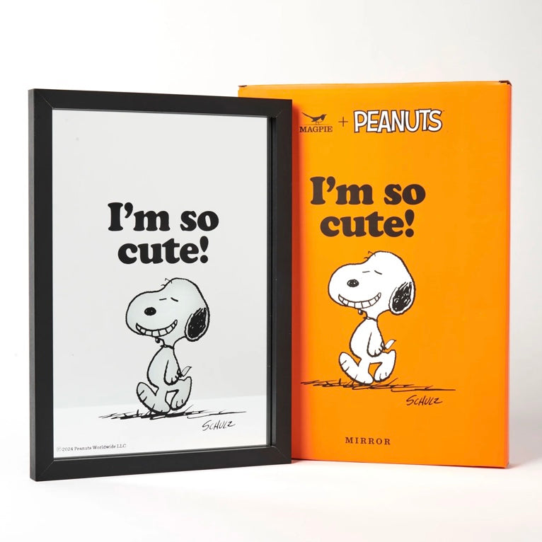 Peanuts Framed Mirror - Cute