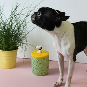 Peanuts Dog Treat Jar - Snoopy