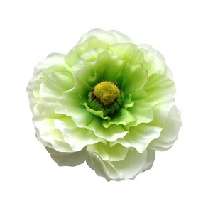 May - Single Ranunculus White Hair Flower