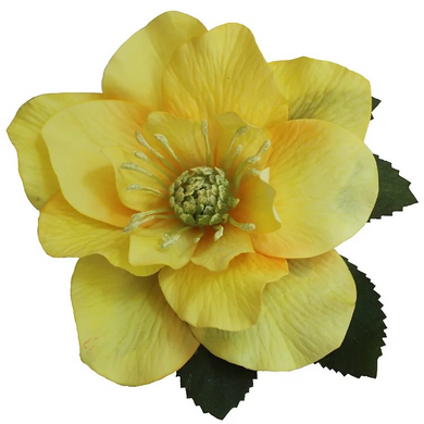 BRIGITTE Single Yellow Hellebore