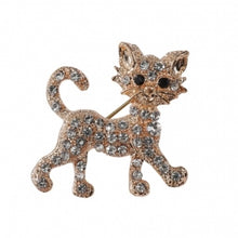 Load image into Gallery viewer, Whiskers Brooch