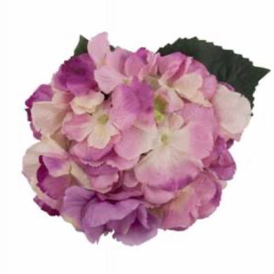 Sunny Hydrangea Hair Flower Purple